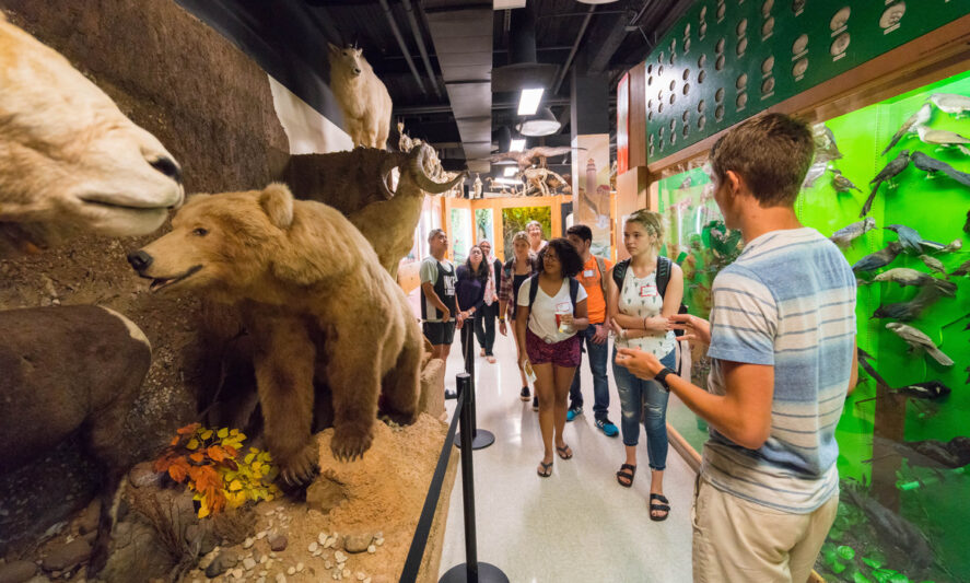 Nature Museum Tour