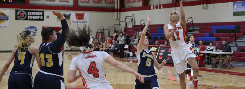 Mesa women's basketball