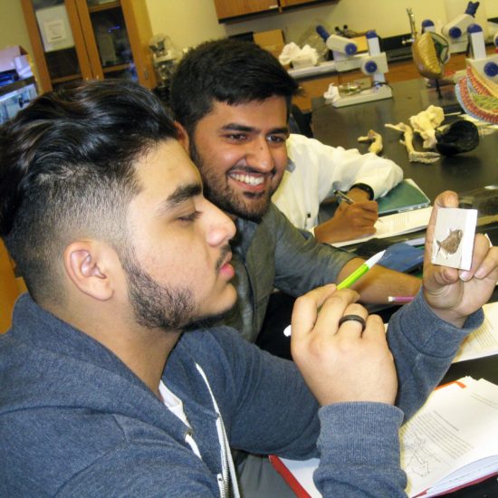 Jurica Scholars