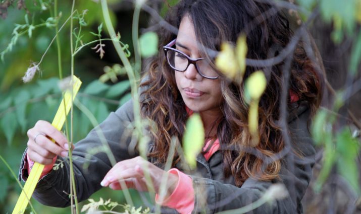 science, ecology