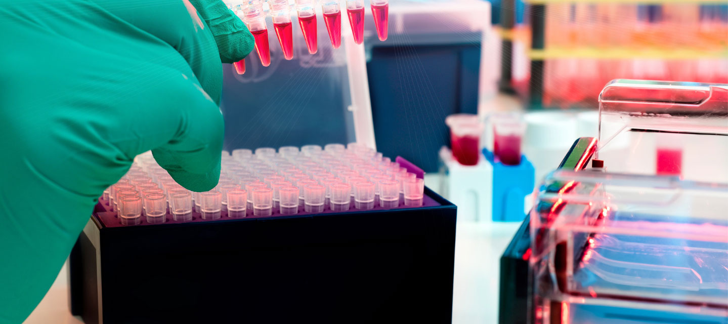 gloved hand holding test tube samples to be put in box with multiple other samples; biochemistry - molecular biology