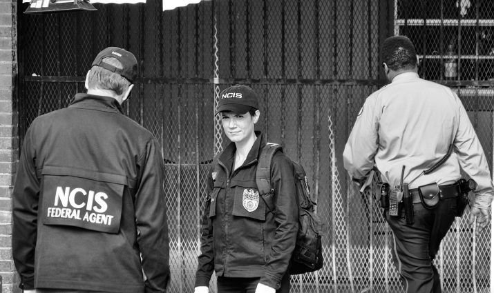 NCIS criminology internship