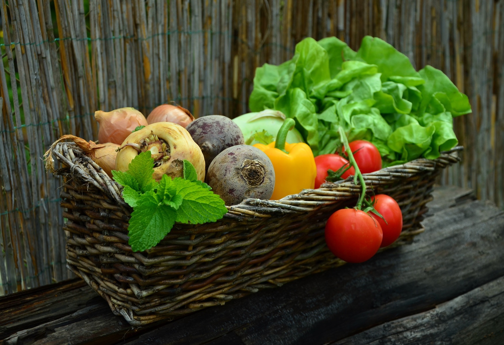 basket of fresh fruits, vegetables and herbs; nutrition and food science minor