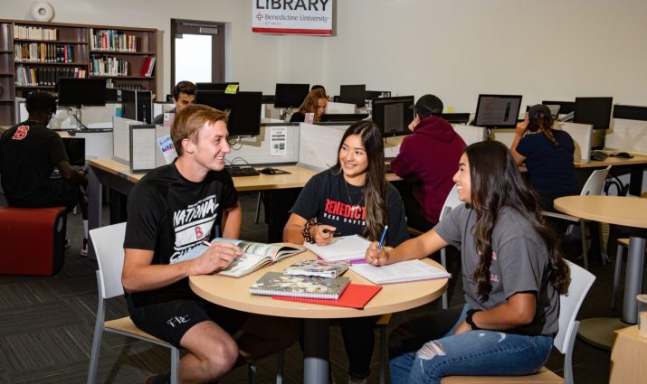 Mesa, Library, study group, notes, computers