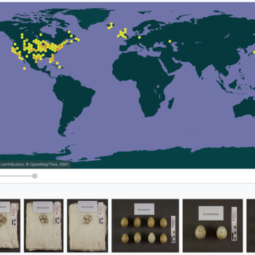 map of the world with numerous dots on the Unites States showing location of egg specimens