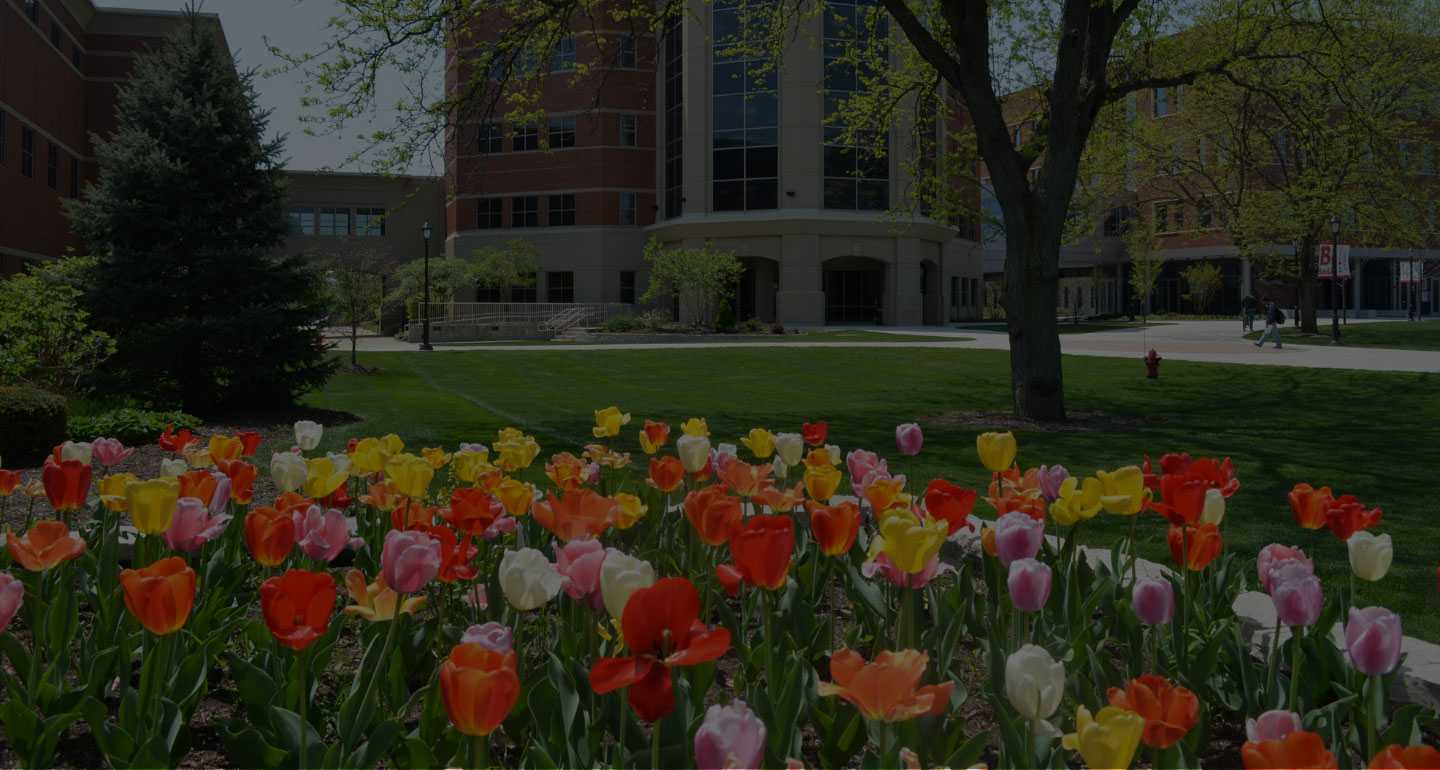 tulips blooming outside Lownik on Lisle campus, image has black overlay