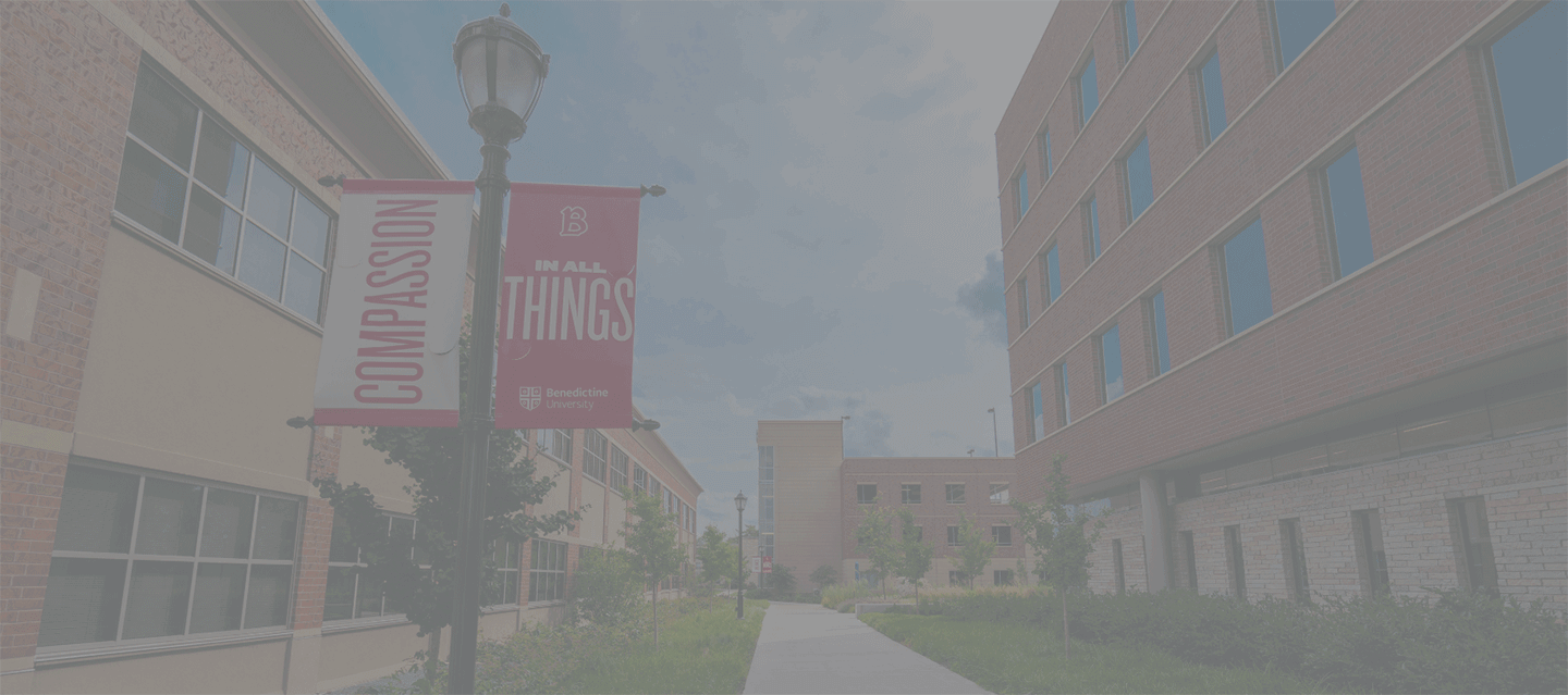 walkway between Kindlon and Goodwin on the Lisle campus with gray film over picture