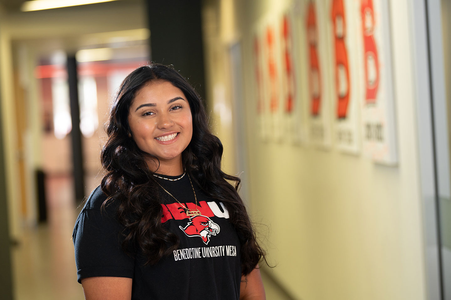 Mesa Redhawk Promise